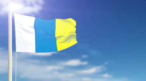 Canary Islands Flag Stock Footage 1055554