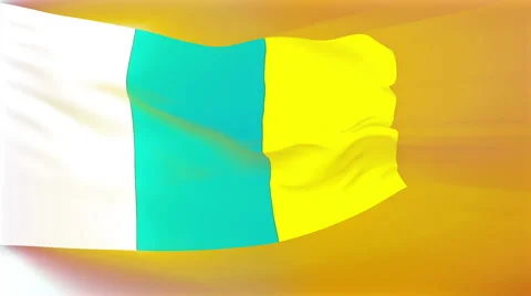 Canary Islands Flag Stock Footage 1055561
