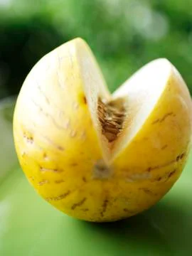 Canary Melon Stock Photos