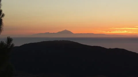 Canary pine trees silhouette at sunset with Teide volcano view Stock Footage 313383747
