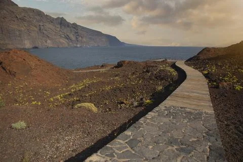 Canary Spain Stock Photos