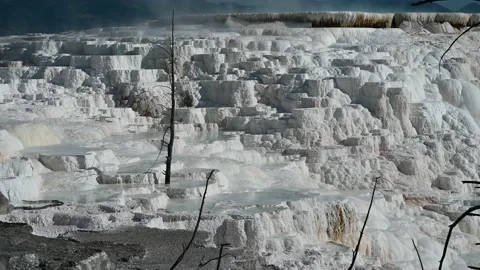 Canary Spring close-up at Mammoth Hot Springs in Yellowstone National Park Stock Footage 147961009