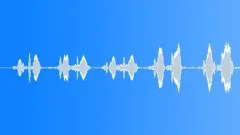Canary Trills 2 Sound Effect