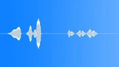 Canary Trills 3 Sound Effect