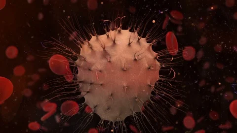 Cancer cell in human body causing tumors - 3D animation render Stock Footage 113773079