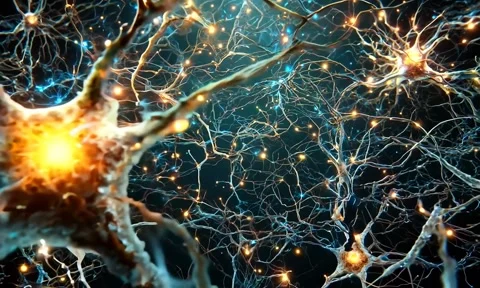 Cancer cell image  Video stock 284203677