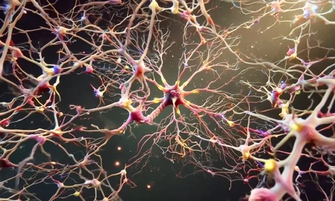 Cancer cell image motion a Video stock 284203679