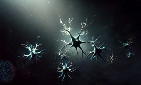 Cancer cell image motion g Video stock 284203689