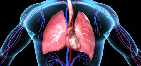 Cancer Stock Footage 38847624