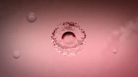 A Cancer Stem Cell CSC in the Human Body Stock Footage 310479871
