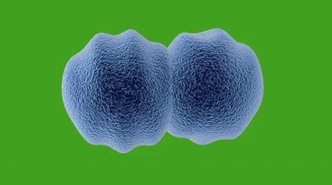 Cancer Tumor cell multiply process pre keyed Stock Footage