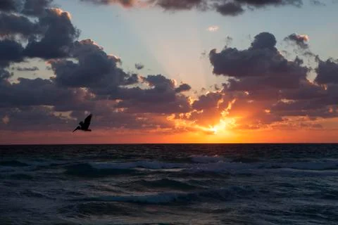 Cancun Beach Stock Photos