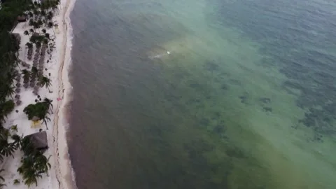 Cancun beaches Stock Footage 210495728