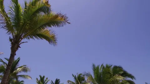CANCUN Stock Footage 128095453