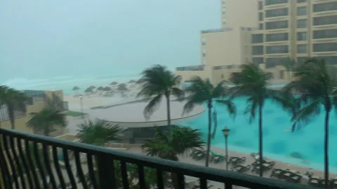 Cancun, Mexico, palm trees shake during a storm Stock Footage 183564223