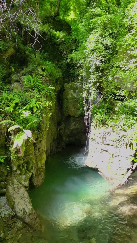 Candalla Falls Waterfall and Forest Landscape Tuscany Italy Aerial Reveal 4K Stock Footage 329053982