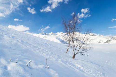Candid alpine environment Foto stock