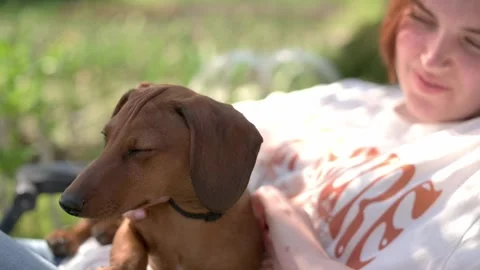 In candid outdoor setting,  joyful moment between woman her dachshund puppy w Stock Footage 275004053