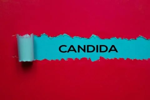 Candida Text written in torn paper. Medical concept Stock Photos