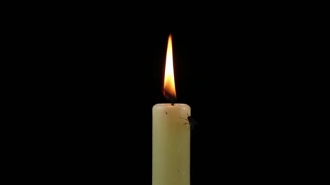 Candle and insect Stock Footage 158572947
