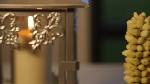 Candle and Plant Stock Footage 104776030