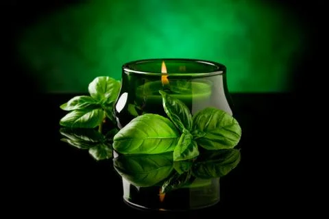 Candle with basil flavour Stock Photos