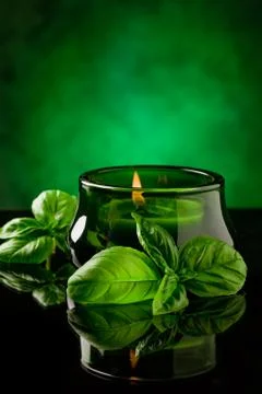 Candle with basil flavour Stock Photos