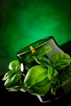 Candle with basil flavour Stock Photos