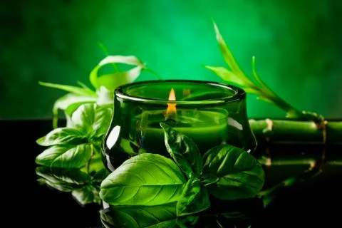 Candle with basil flavour Stock Photos