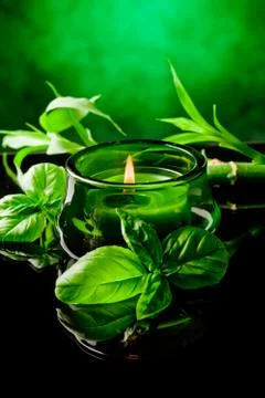 Candle with basil flavour Stock Photos