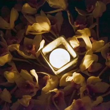 Candle in between flowers Foto stock