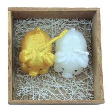 Candle in a box Stock Photos