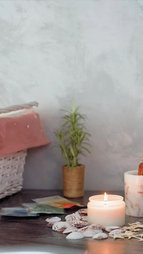 Candle burning surrounded by seashells starfish and potted plants in soft indoor Stock Footage 344672237