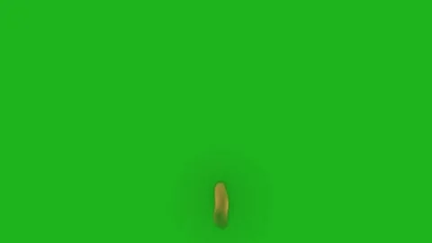 Candle flame motion graphics with green screen background Stock Footage 133174152