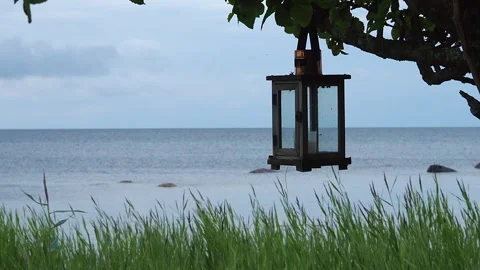 A candle flashlight on a tree by the sea. Stock Footage 248531518