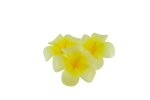 Candle flower Stock Photos