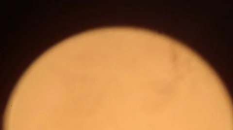 Candle Lit Close-Up. Macro. Background Bokeh. Stock Footage 65428981