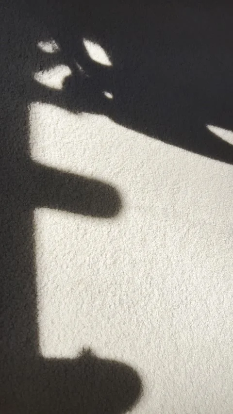 Candle Shadow Stock Footage 319355451