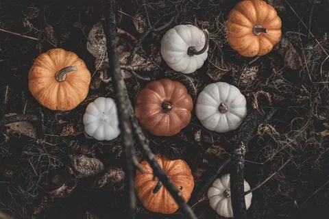 Candle in the shape of a pumpkin on a background Foto stock