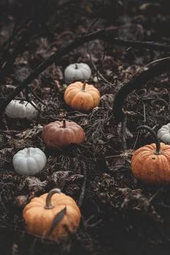 Candle in the shape of a pumpkin on a background Stock Photos