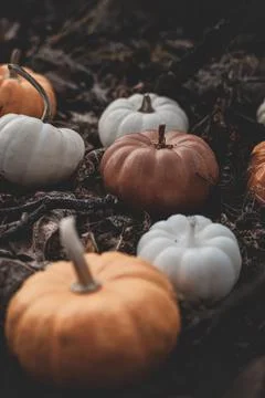 Candle in the shape of a pumpkin on a background Stock Photos
