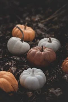 Candle in the shape of a pumpkin on a background Stock Photos