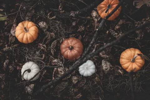 Candle in the shape of a pumpkin on a background Stock Photos