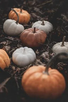 Candle in the shape of a pumpkin on a background Stock Photos