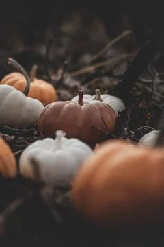 Candle in the shape of a pumpkin on a background Stock Photos