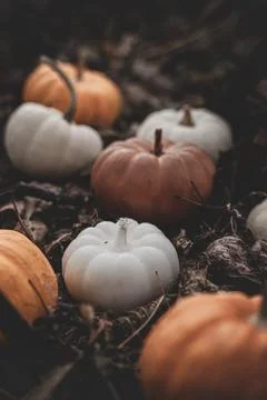 Candle in the shape of a pumpkin on a background Stock Photos
