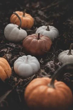 Candle in the shape of a pumpkin on a background Stock Photos