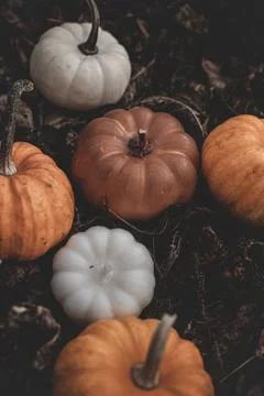 Candle in the shape of a pumpkin on a background Stock Photos