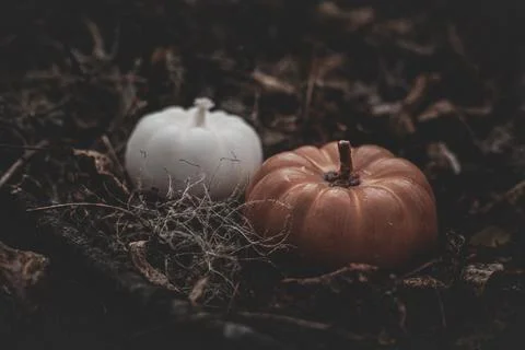 Candle in the shape of a pumpkin on a background Stock Photos