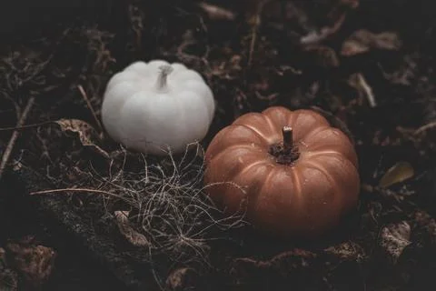 Candle in the shape of a pumpkin on a background Stock Photos